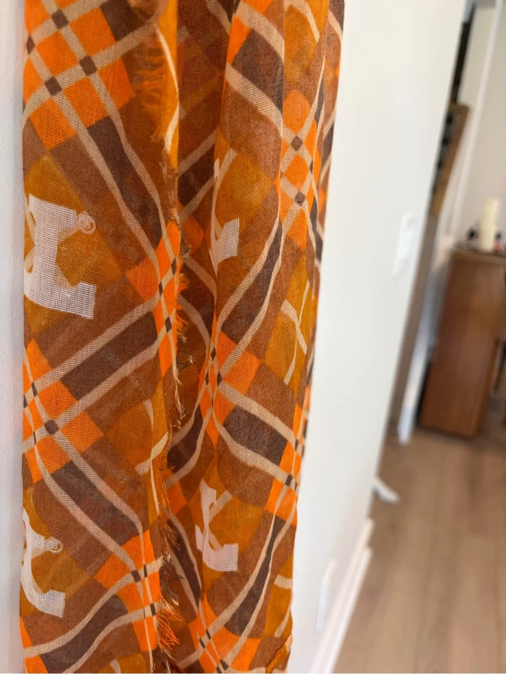 University of Tennessee Scarf